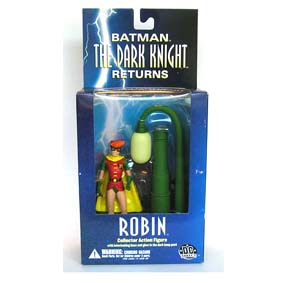 Robin The Dark Knight