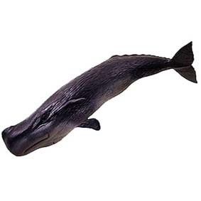 Baleia Cachalote 16084 (Schleich 2011 Toys Brasil) Sperm Whale