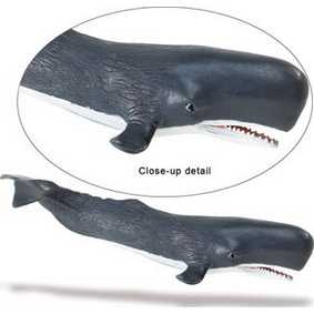 Baleia Cachalote (Safari marinho) 275529 Sperm Whale