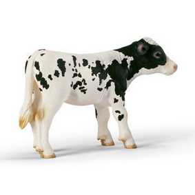 Bezerro Holstein - 13634