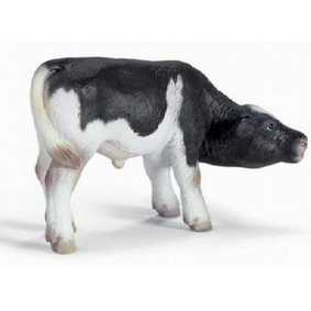 Bezerro Holstein mamando - 13615 