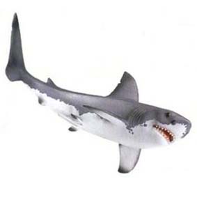 Tubarão branco 16092 (Schleich 2011 Toys) Great White Shark