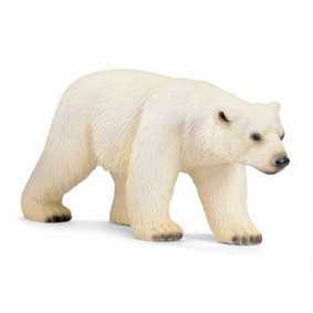 Urso polar - 14357